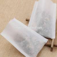 Eco-Friendly Empty Pet Organiclarge  Large Filter Tea Bag